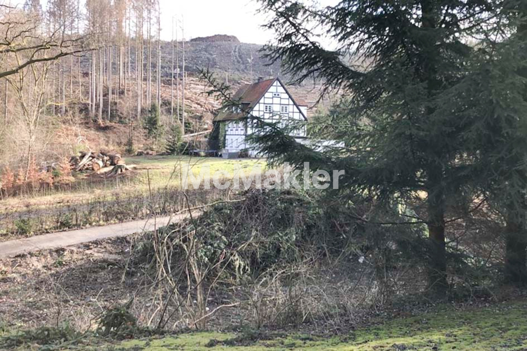 Property view 1