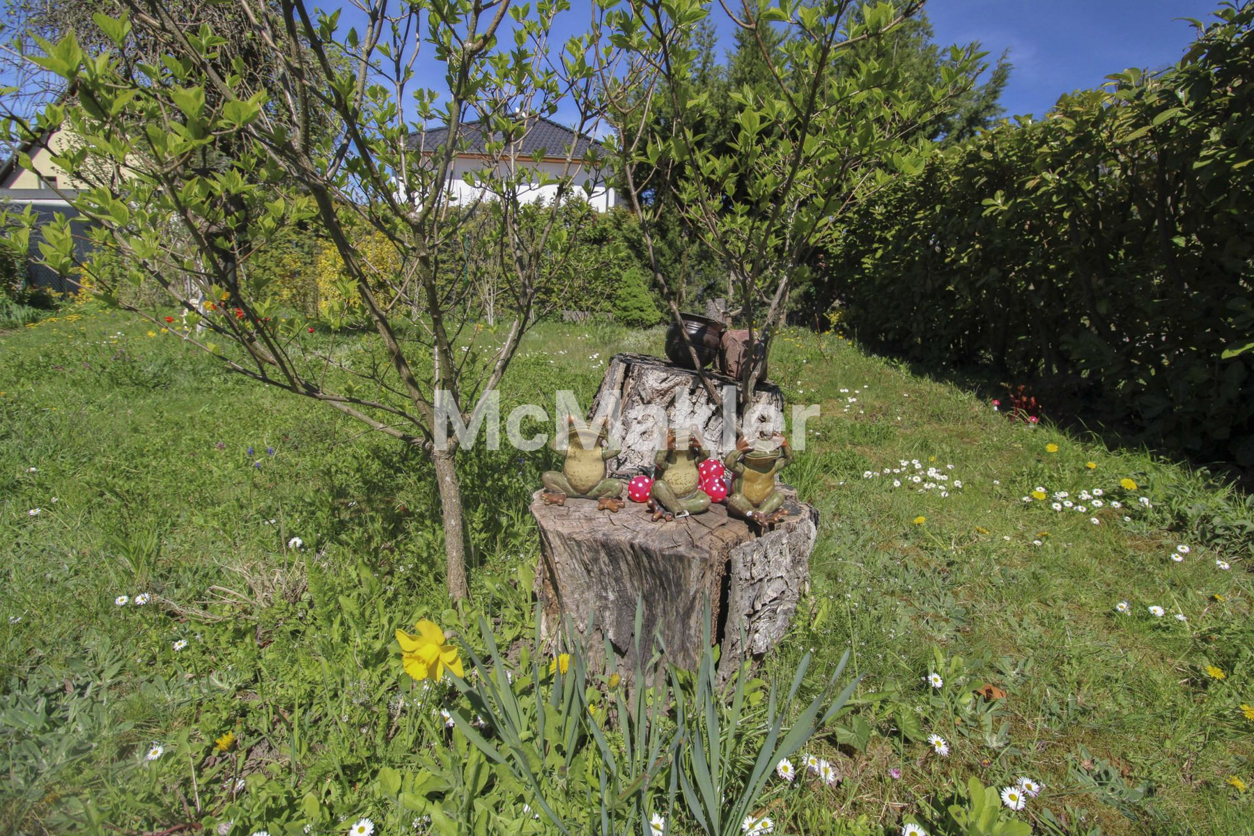 Property view 12