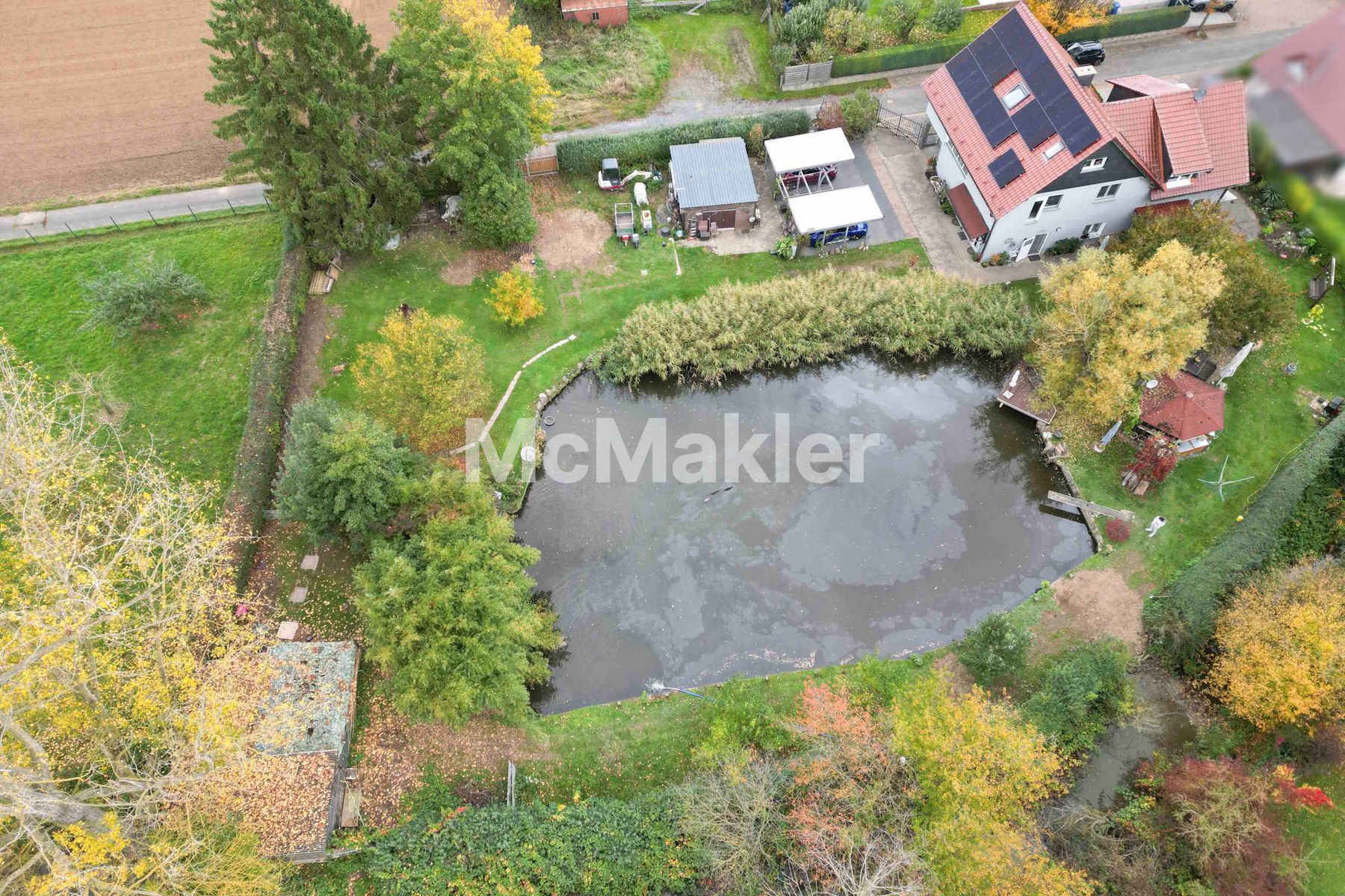 Property view 16