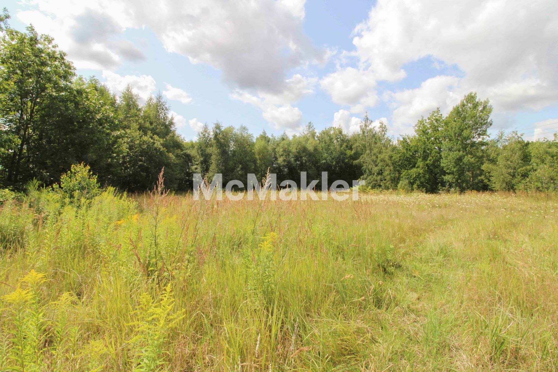 Property view 1
