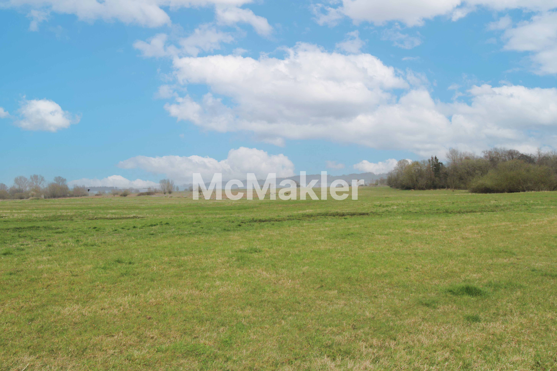 Property view 10