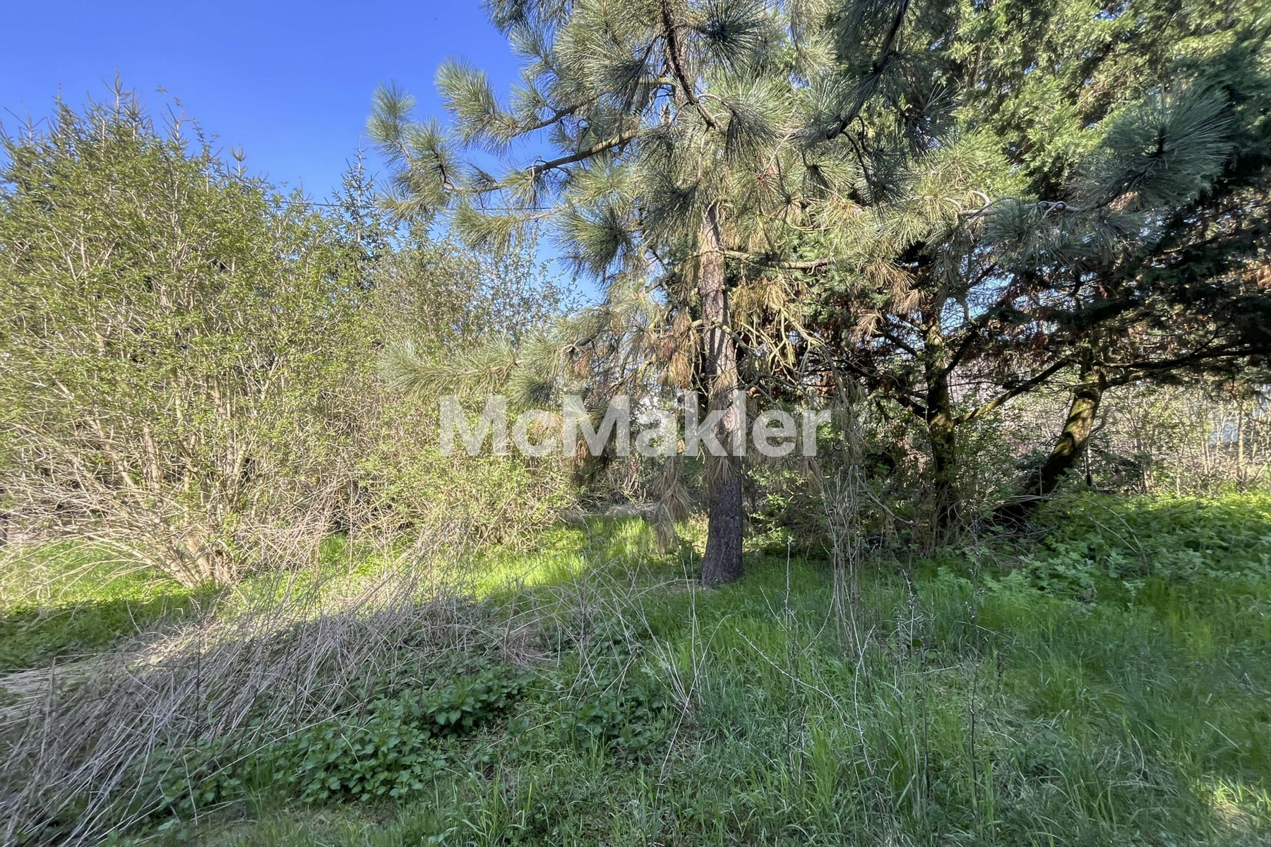 Property view 5