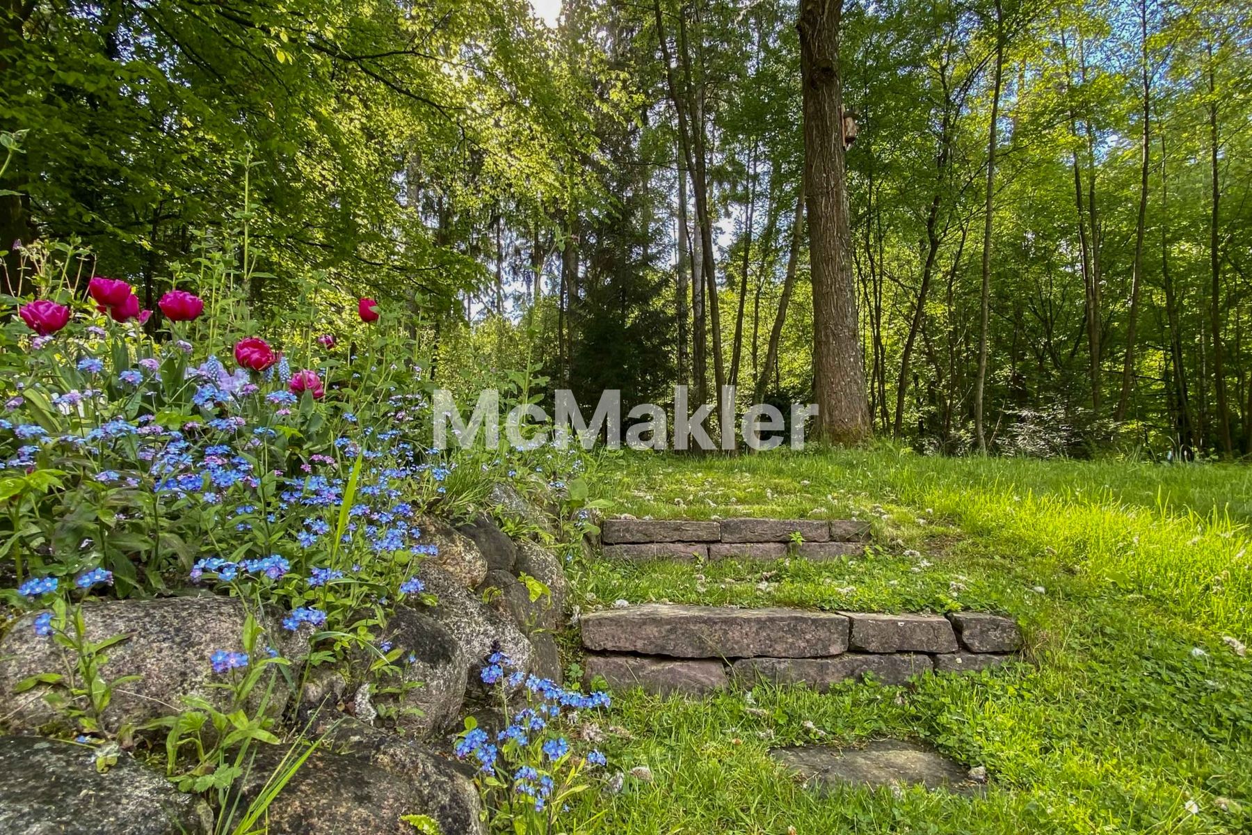Property view 23