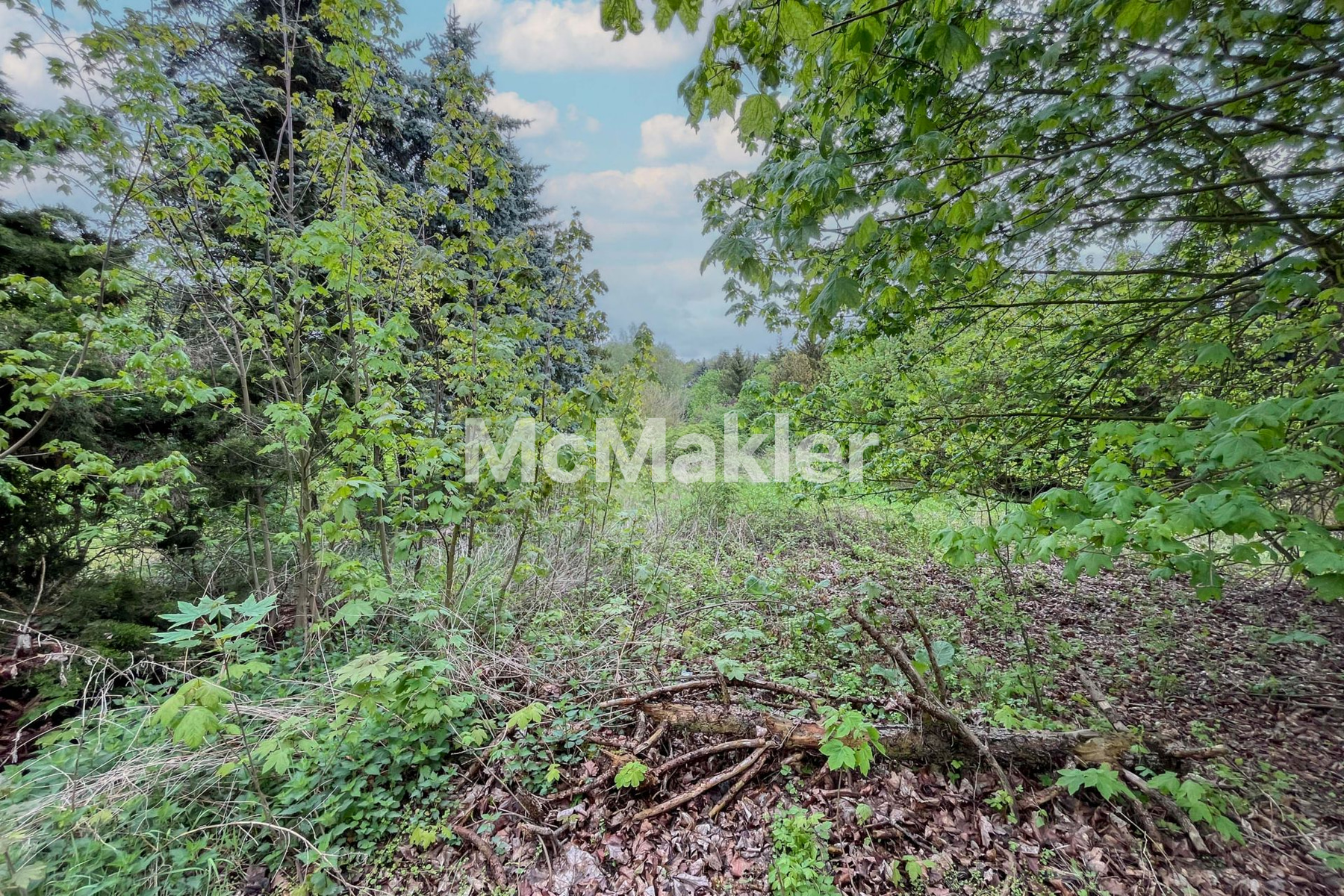 Property view 5