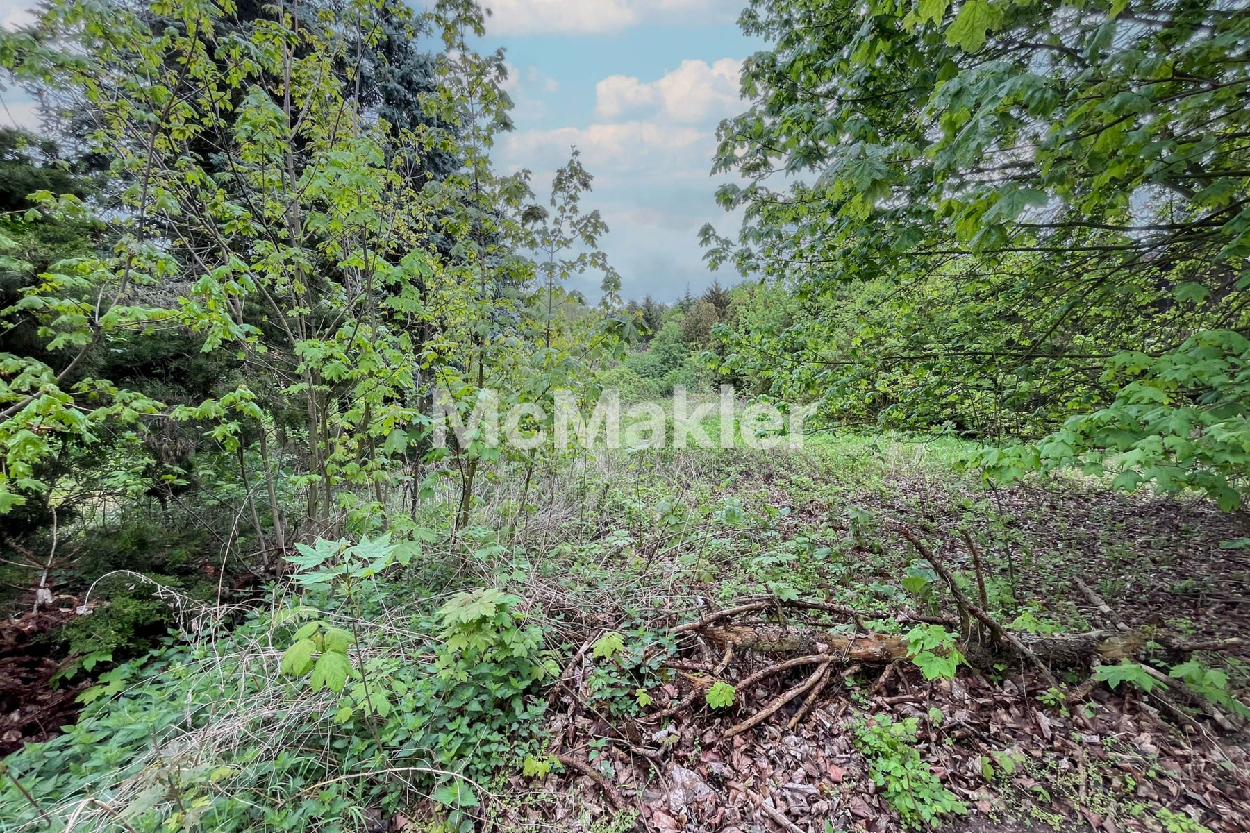 Property view 7
