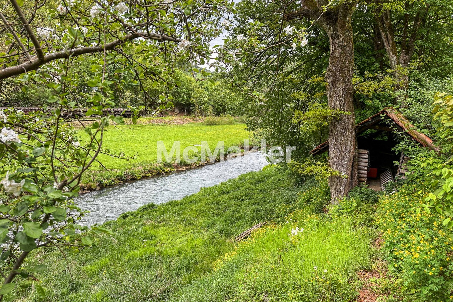 Property view 23