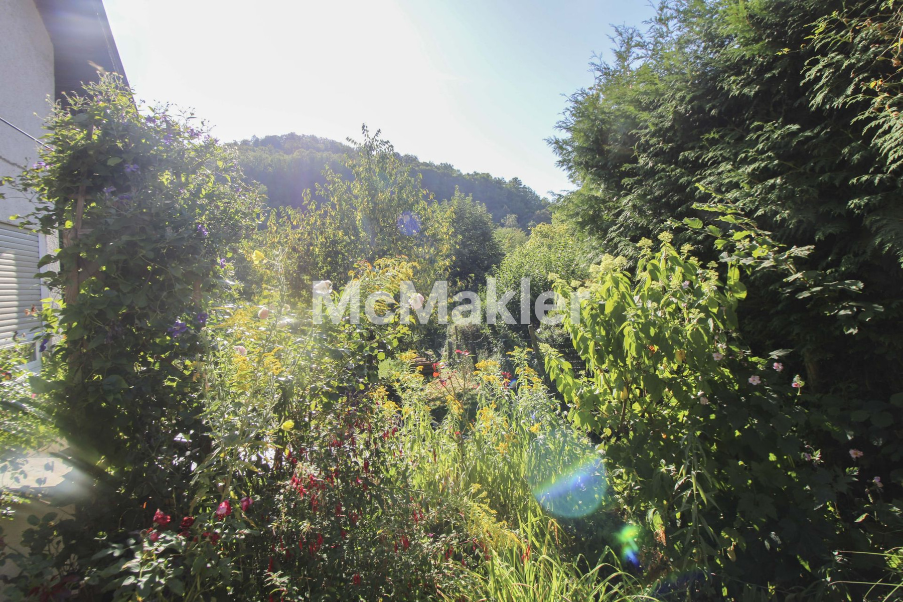 Property view 12