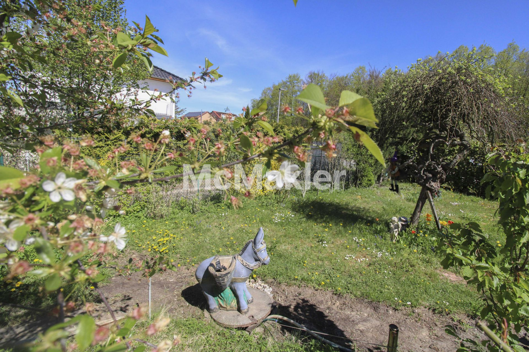 Property view 3