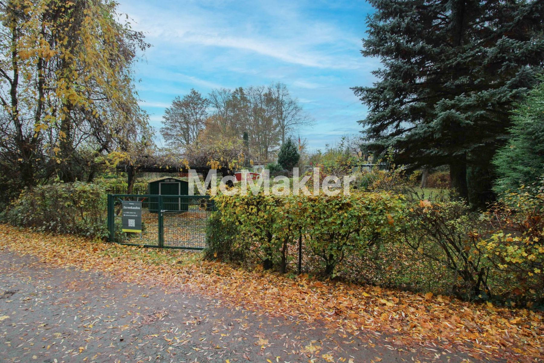 Property view 5