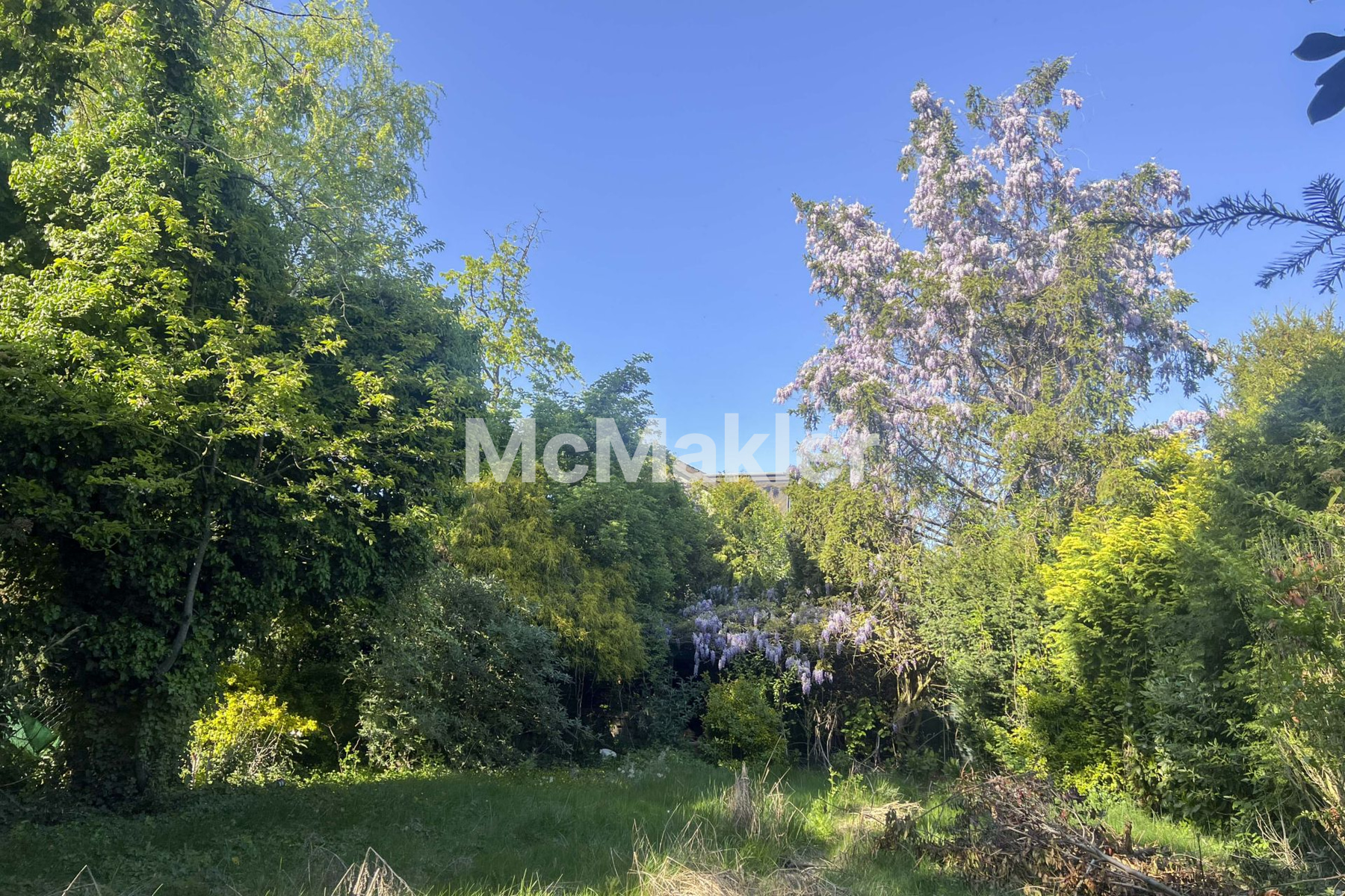 Property view 5
