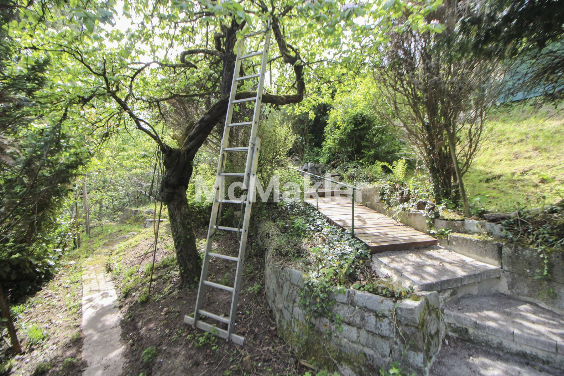 Property view 9