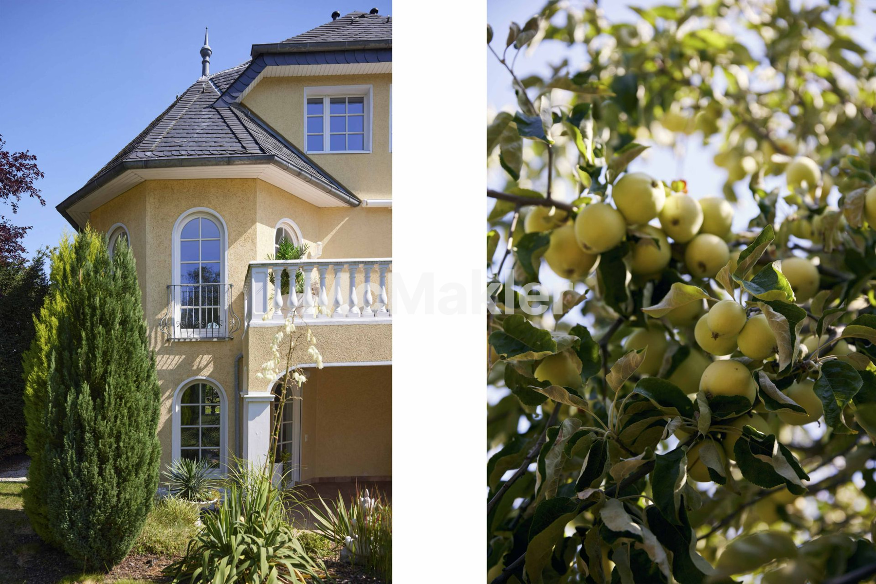 Property view 21