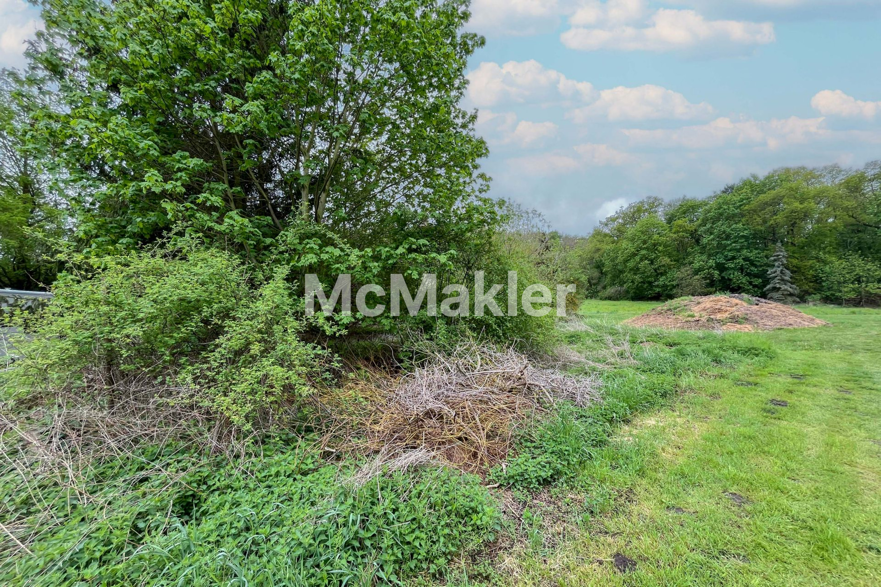 Property view 1