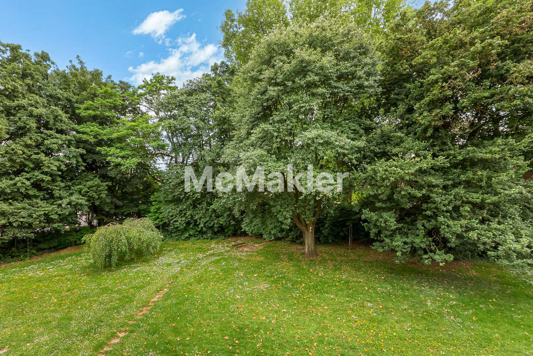 Property view 14
