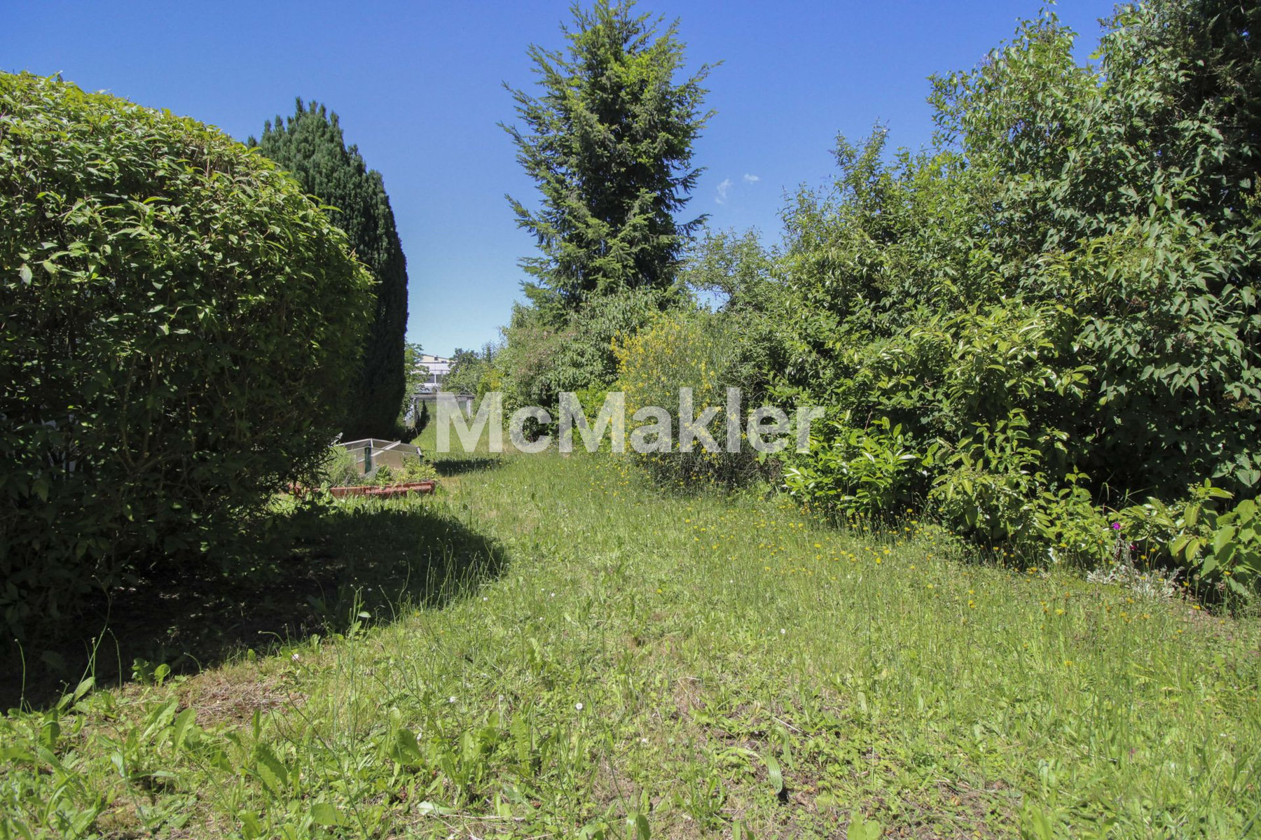 Property view 12