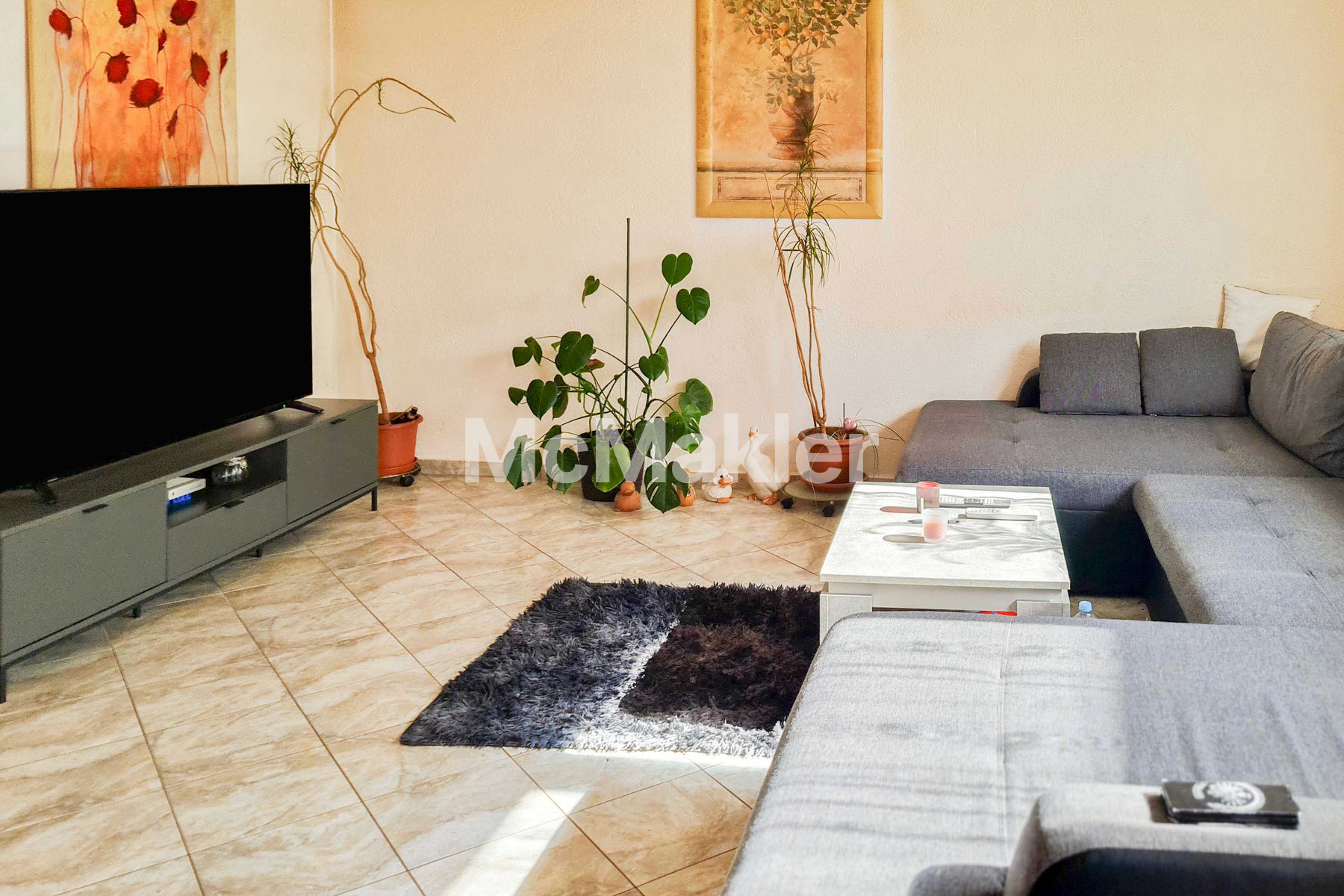 Property view 1