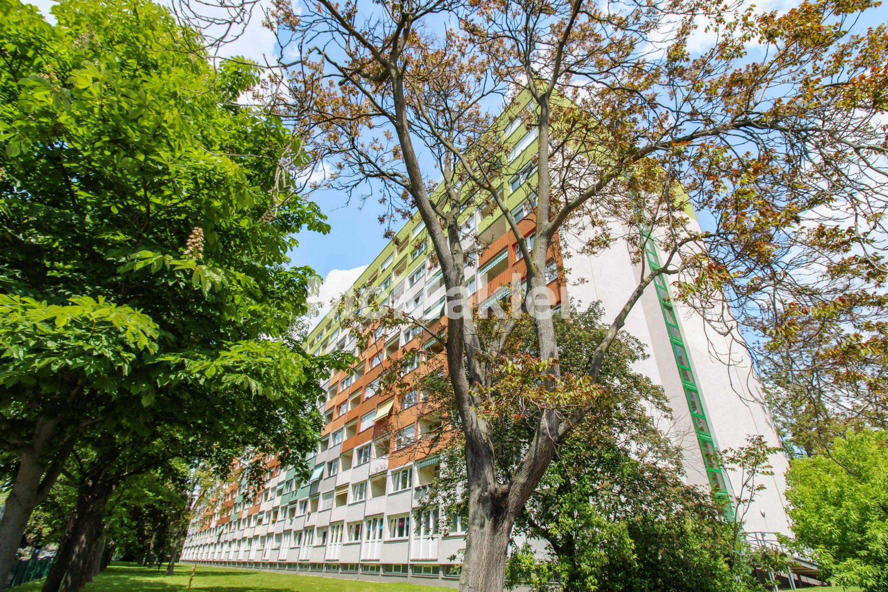 Property view 19