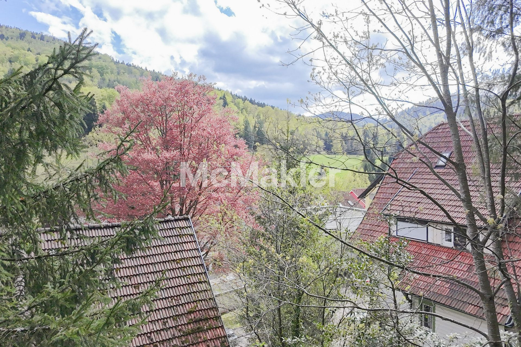 Property view 1