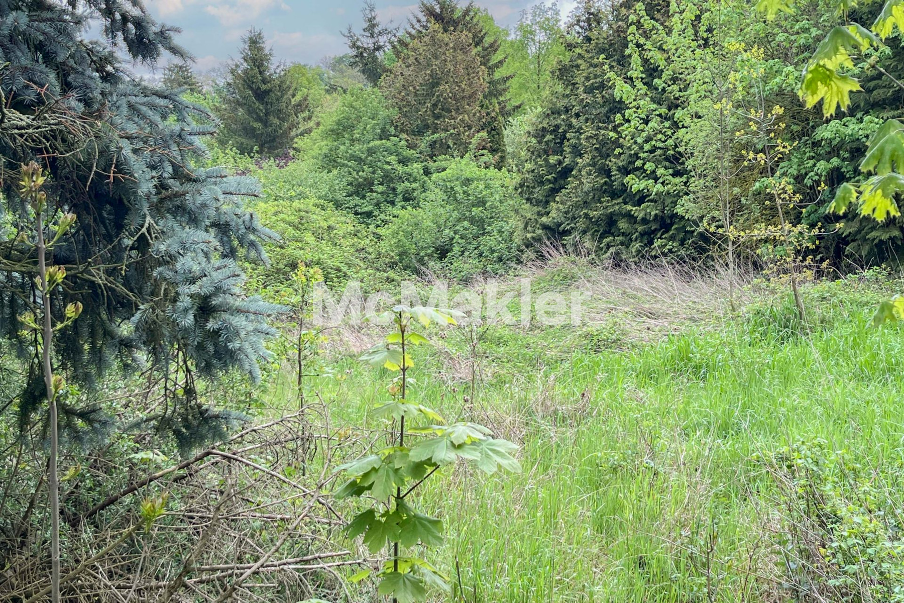 Property view 2