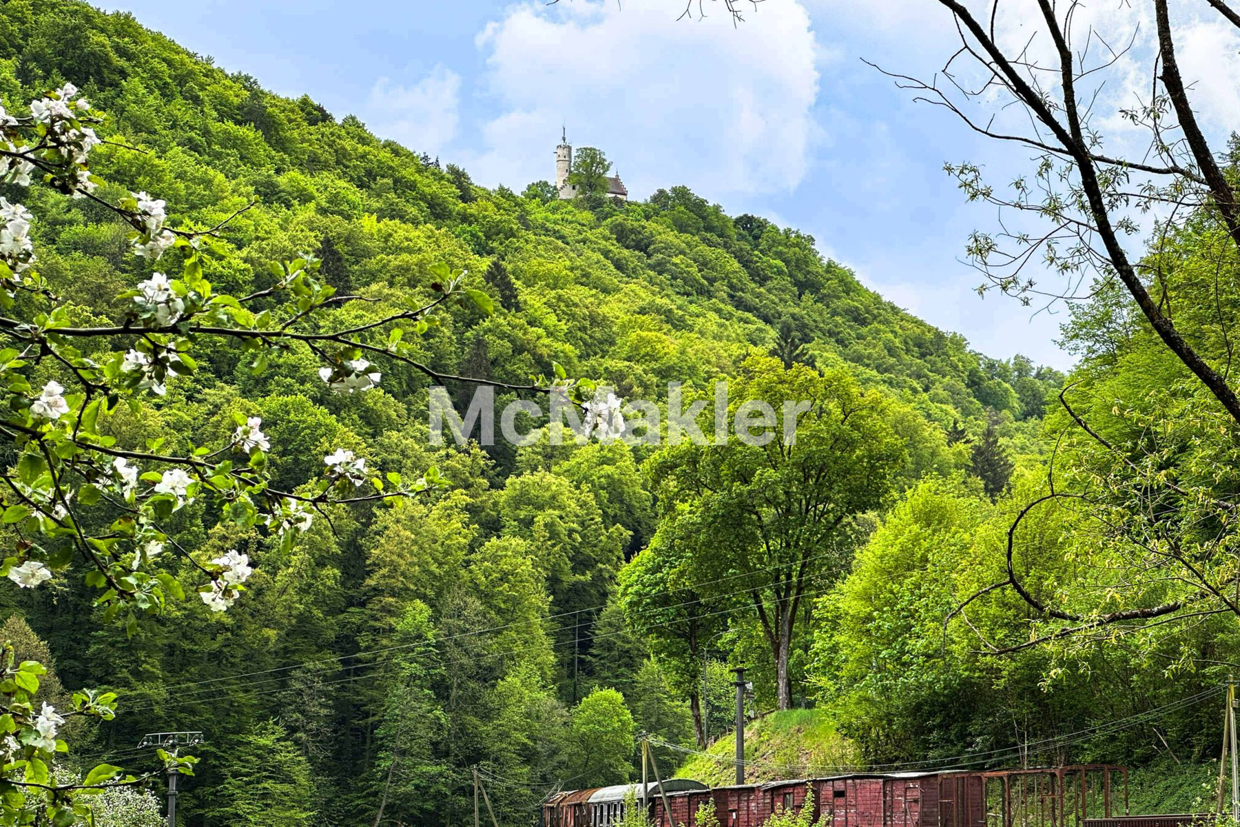 Property view 2