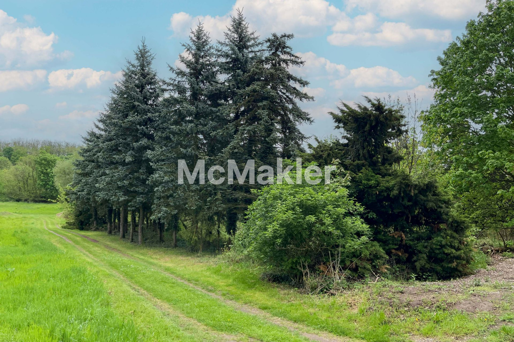 Property view 6