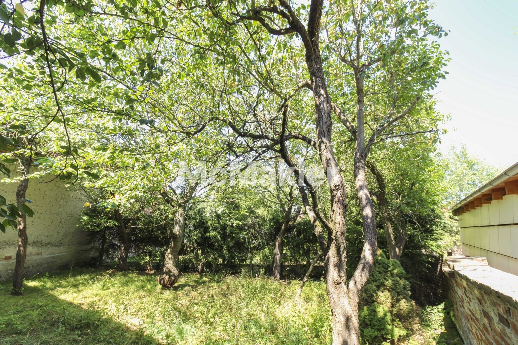 Property view 15