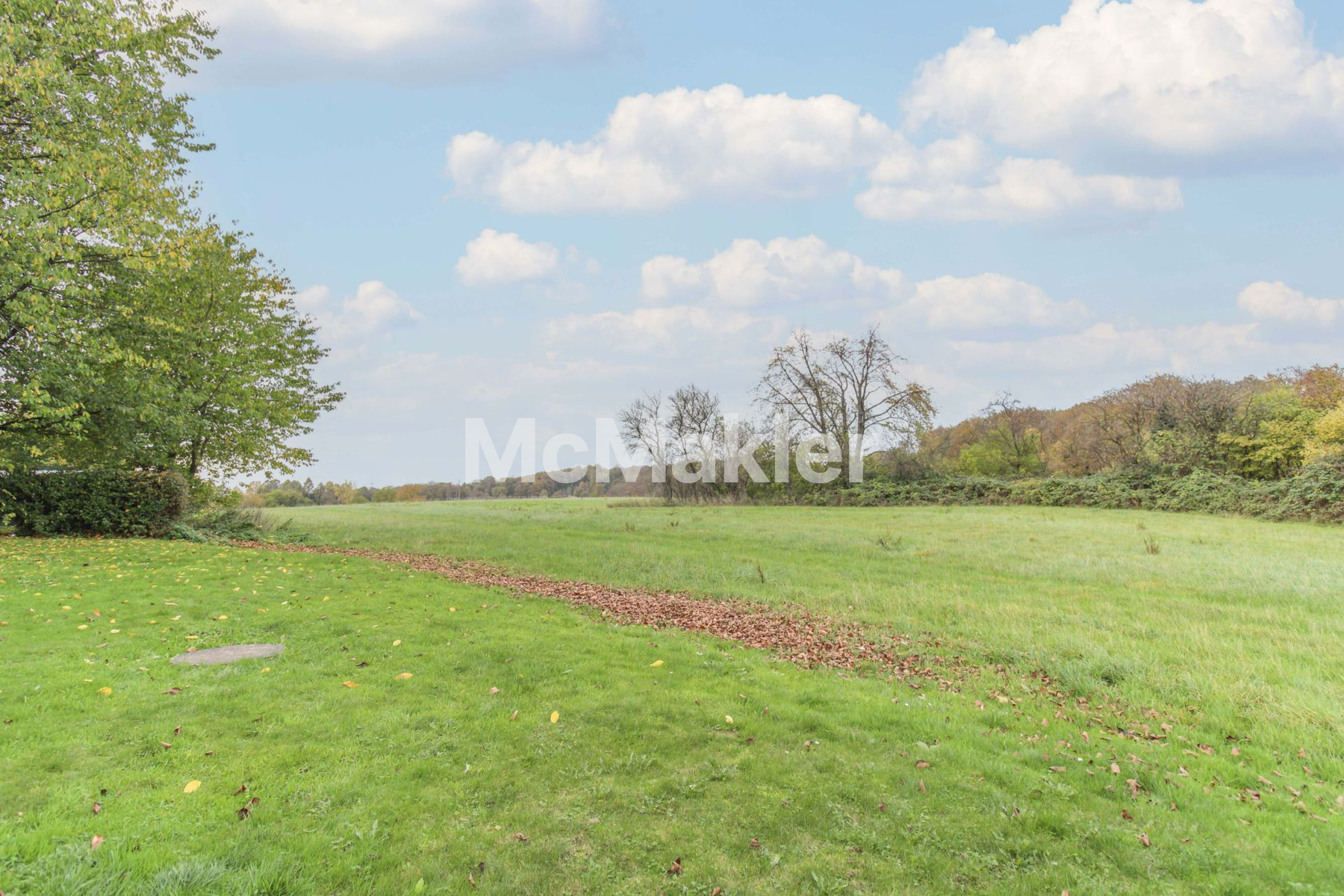 Property view 13