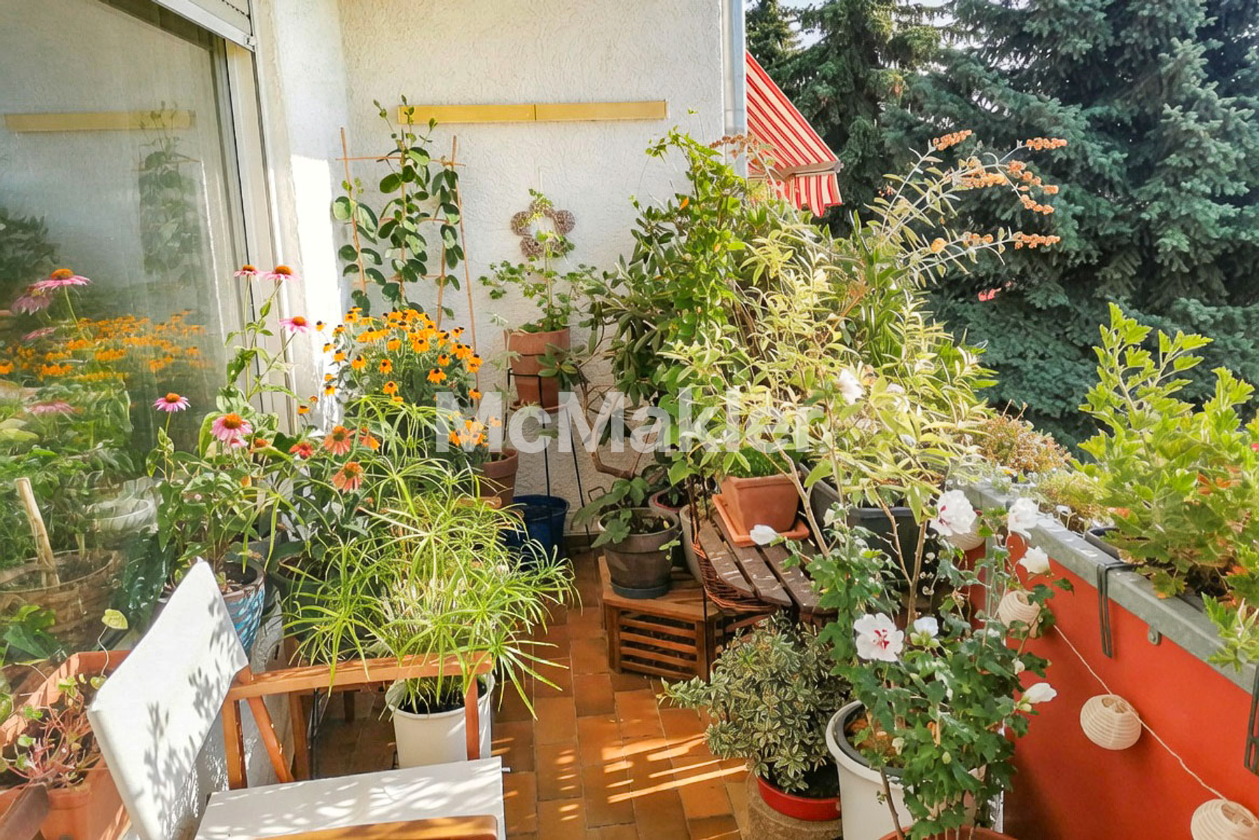 Property view 7