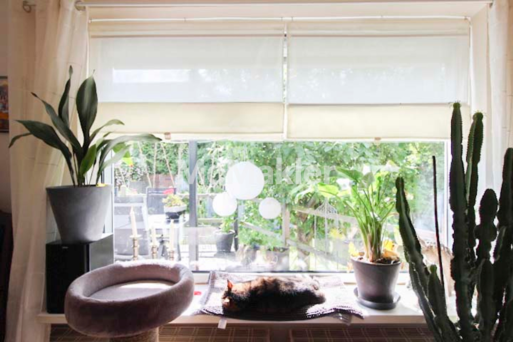 Property view 11