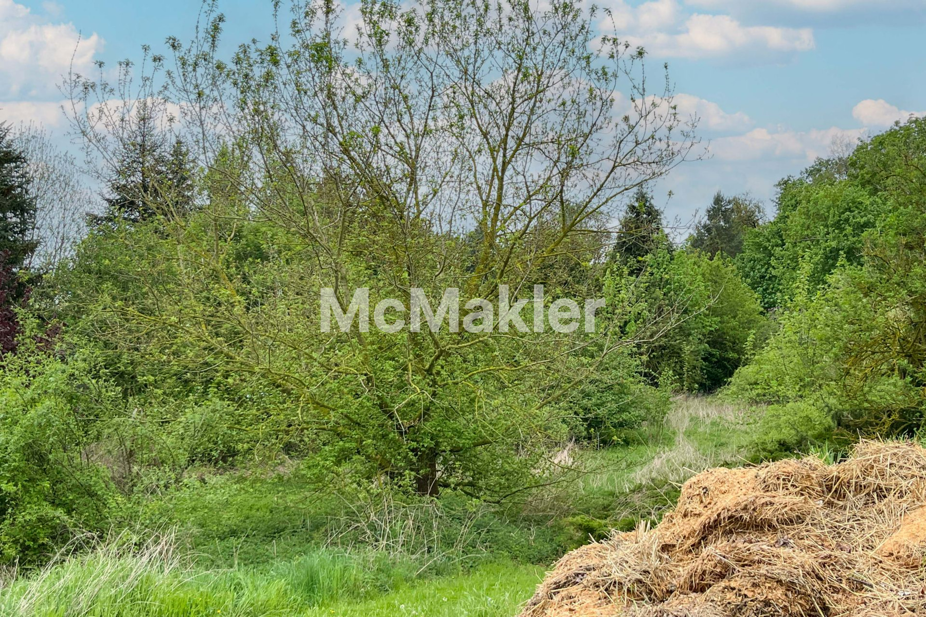 Property view 4