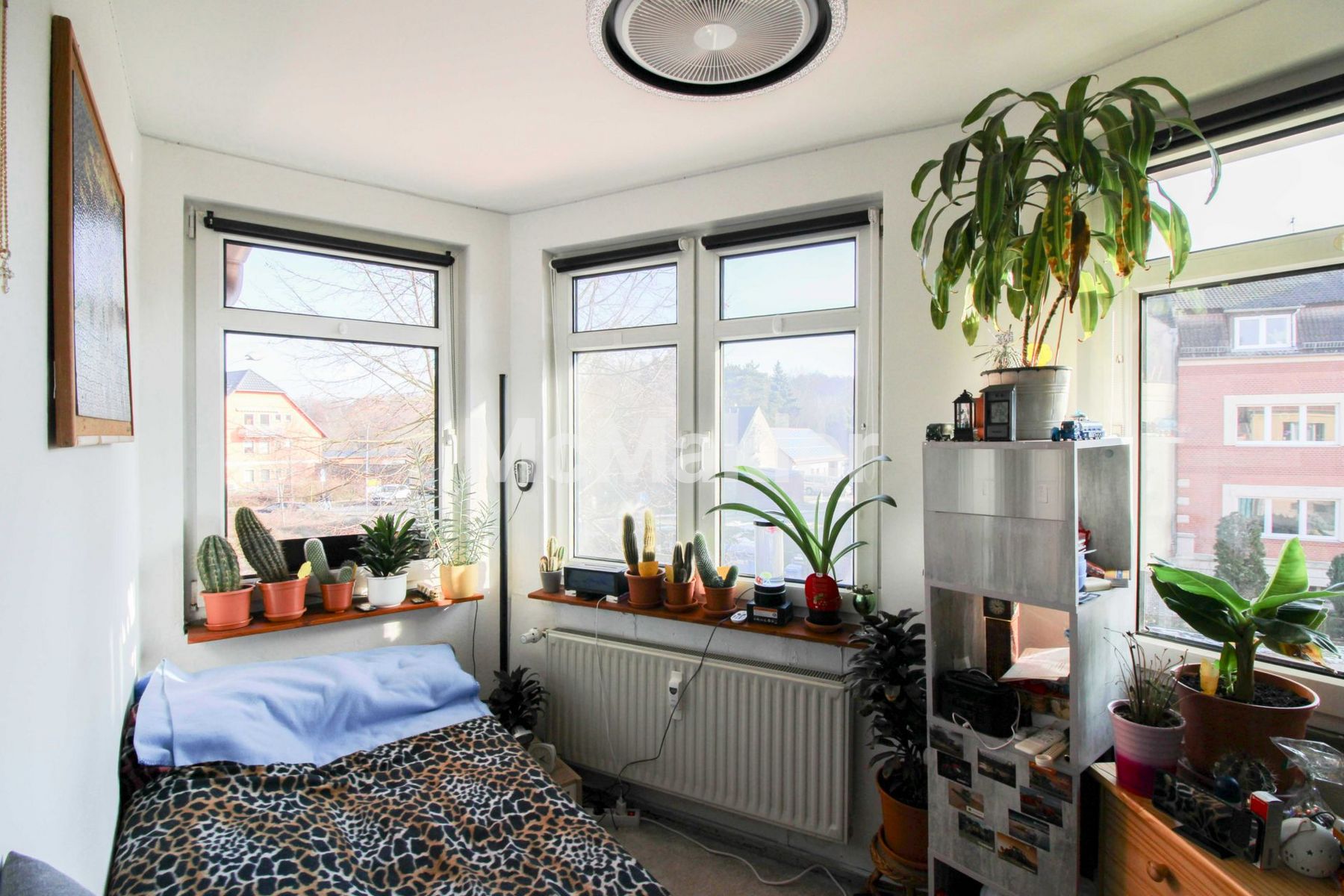 Property view 11