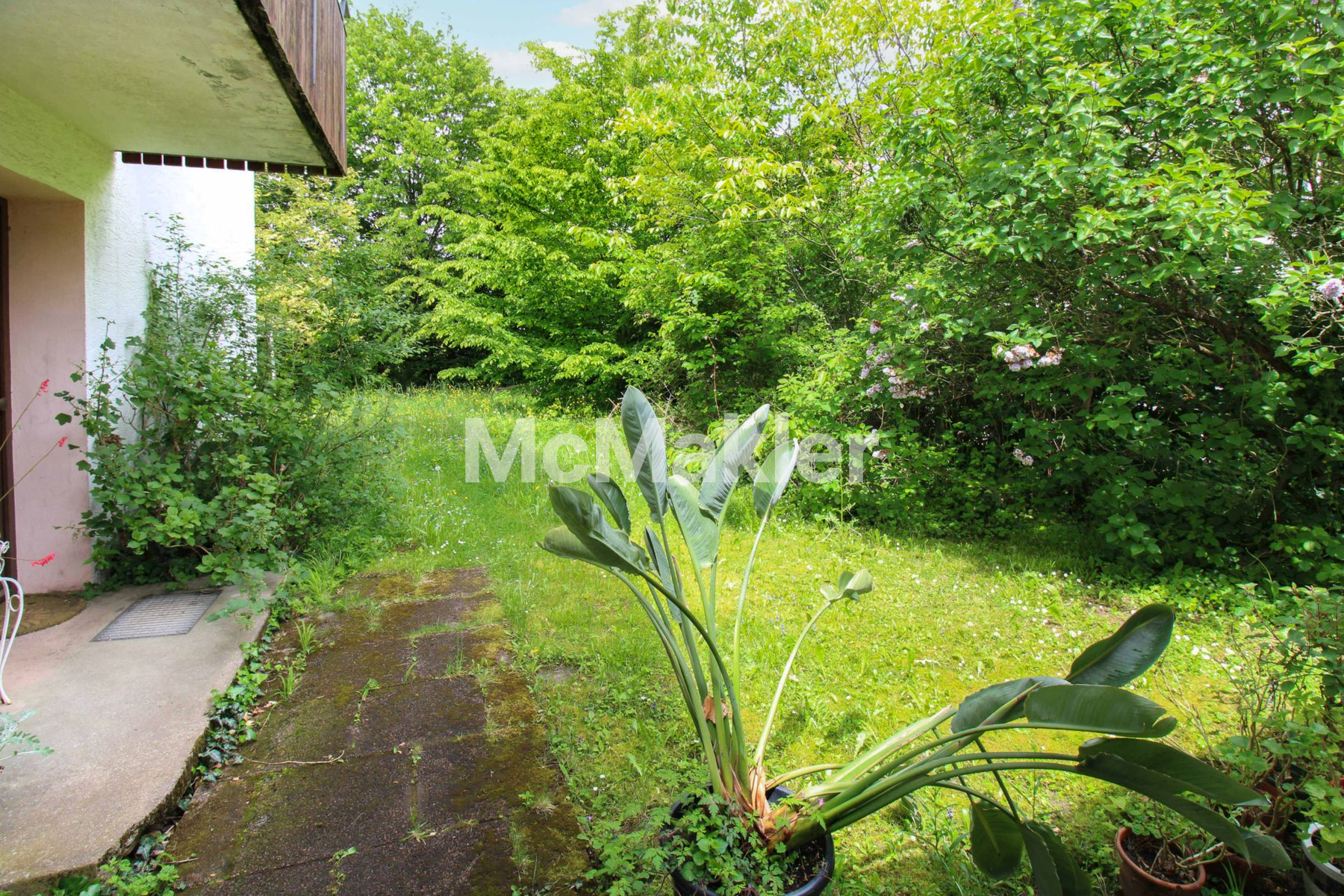 Property view 19