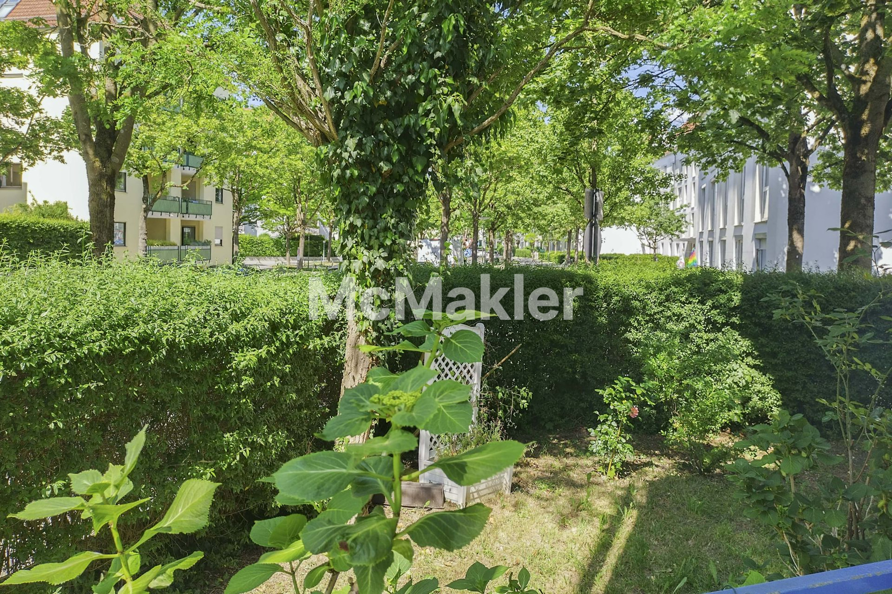 Property view 10