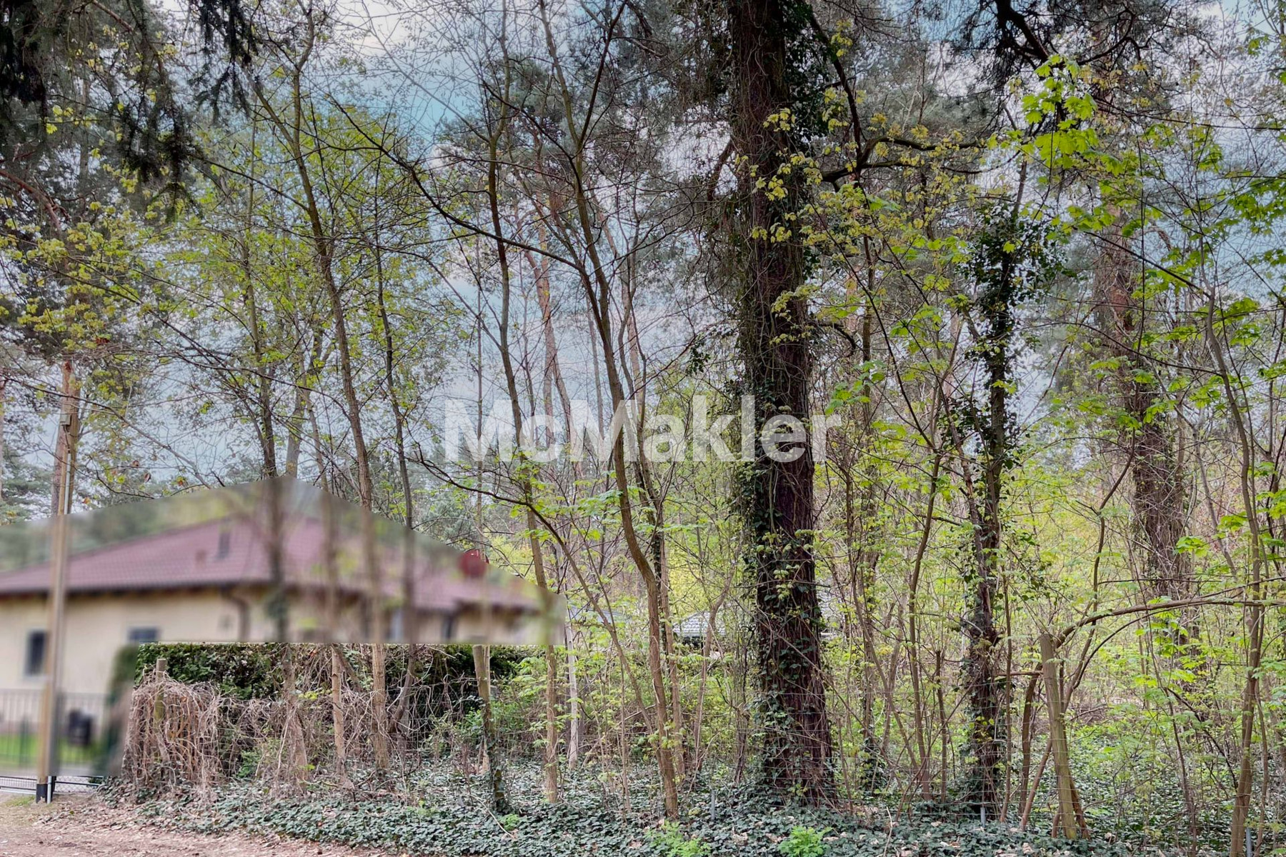 Großzügiges Baugrundstück in Seenähe – Ihr Zuhause in Königs Wusterhausen