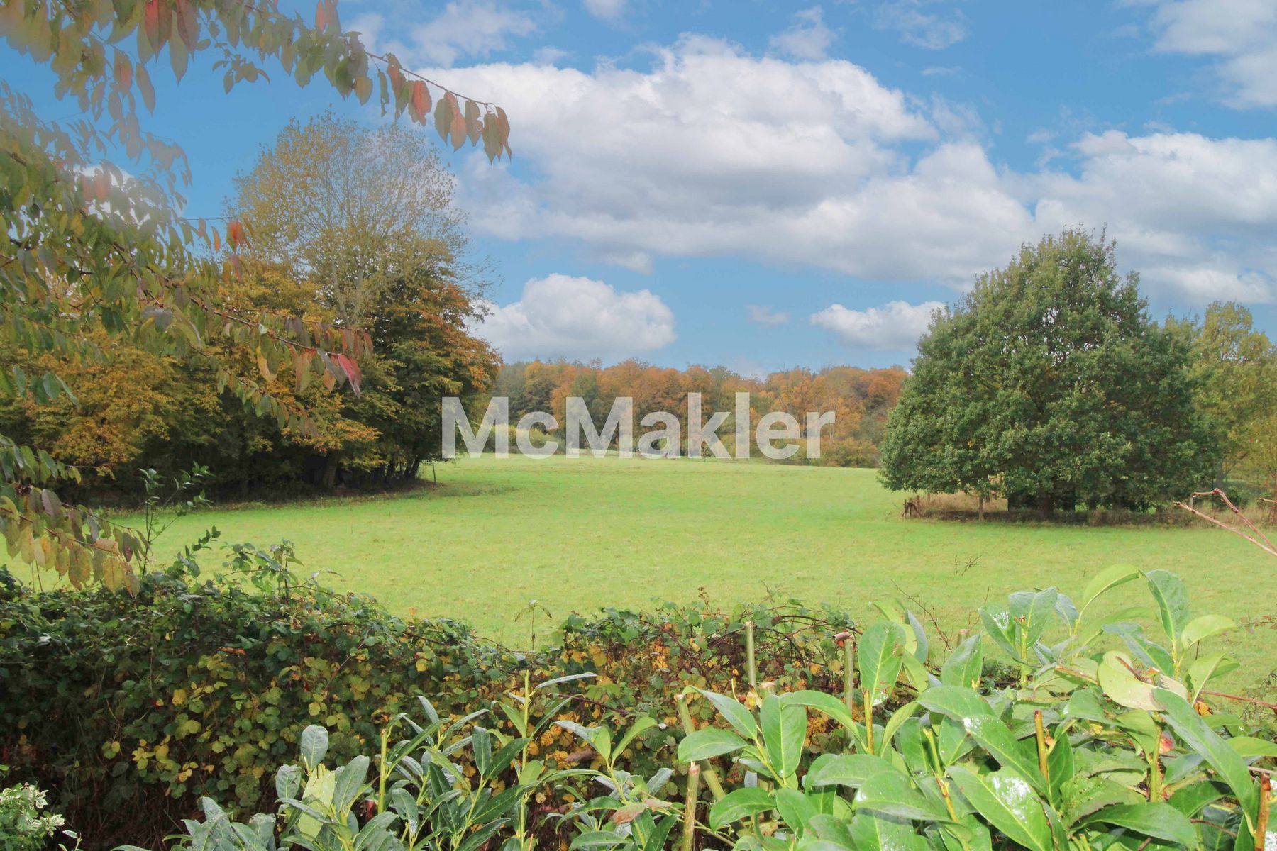 Property view 18