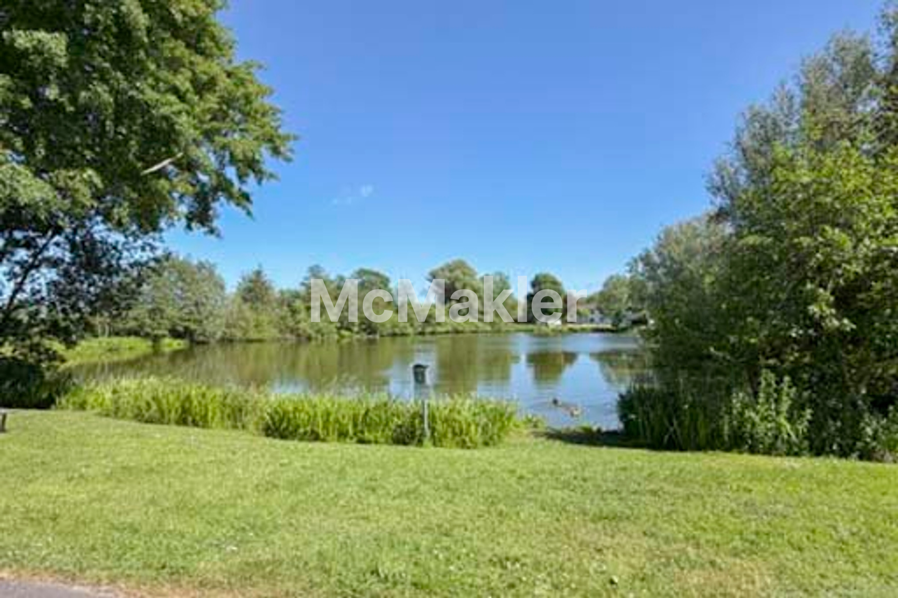 Property view 13