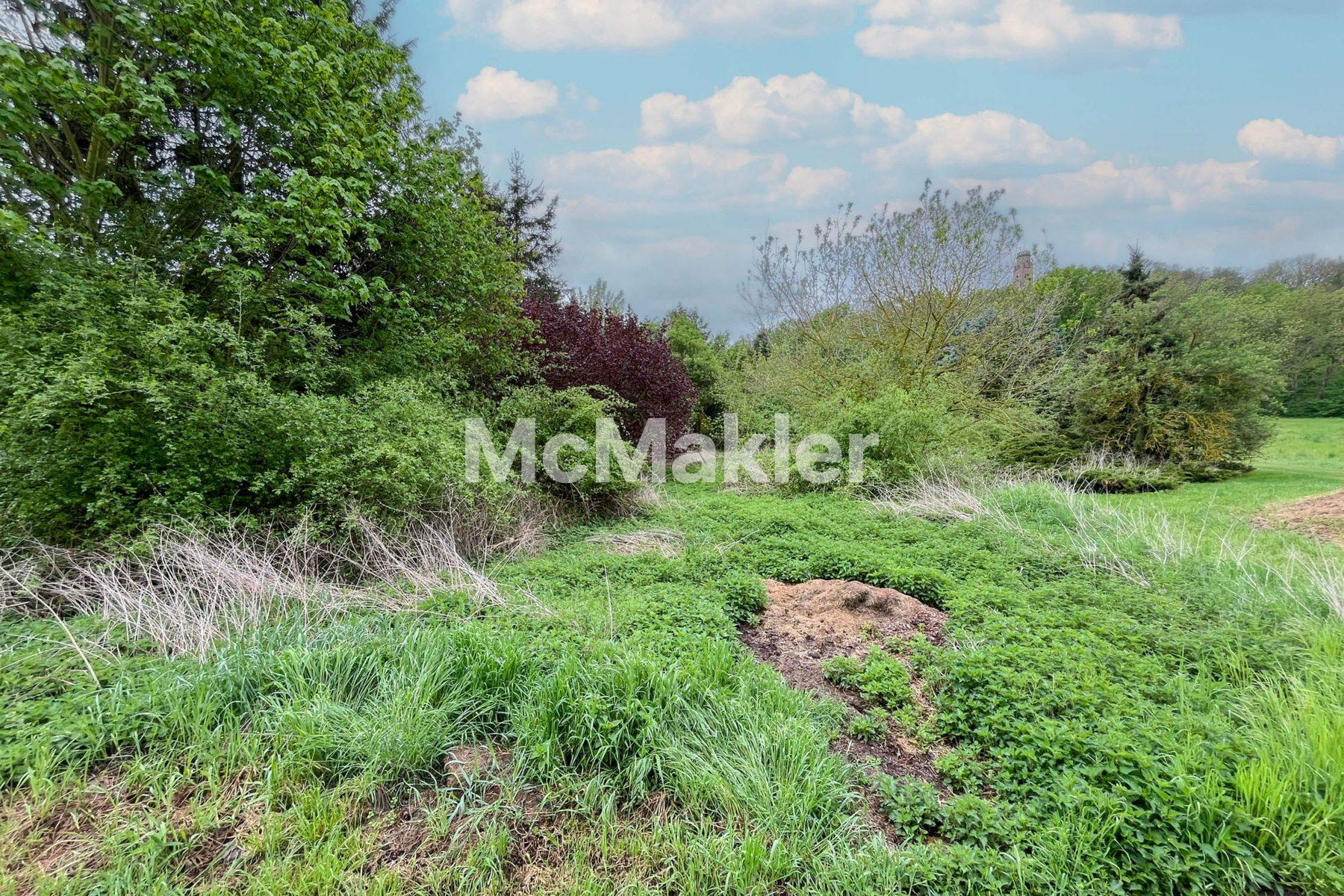 Property view 3