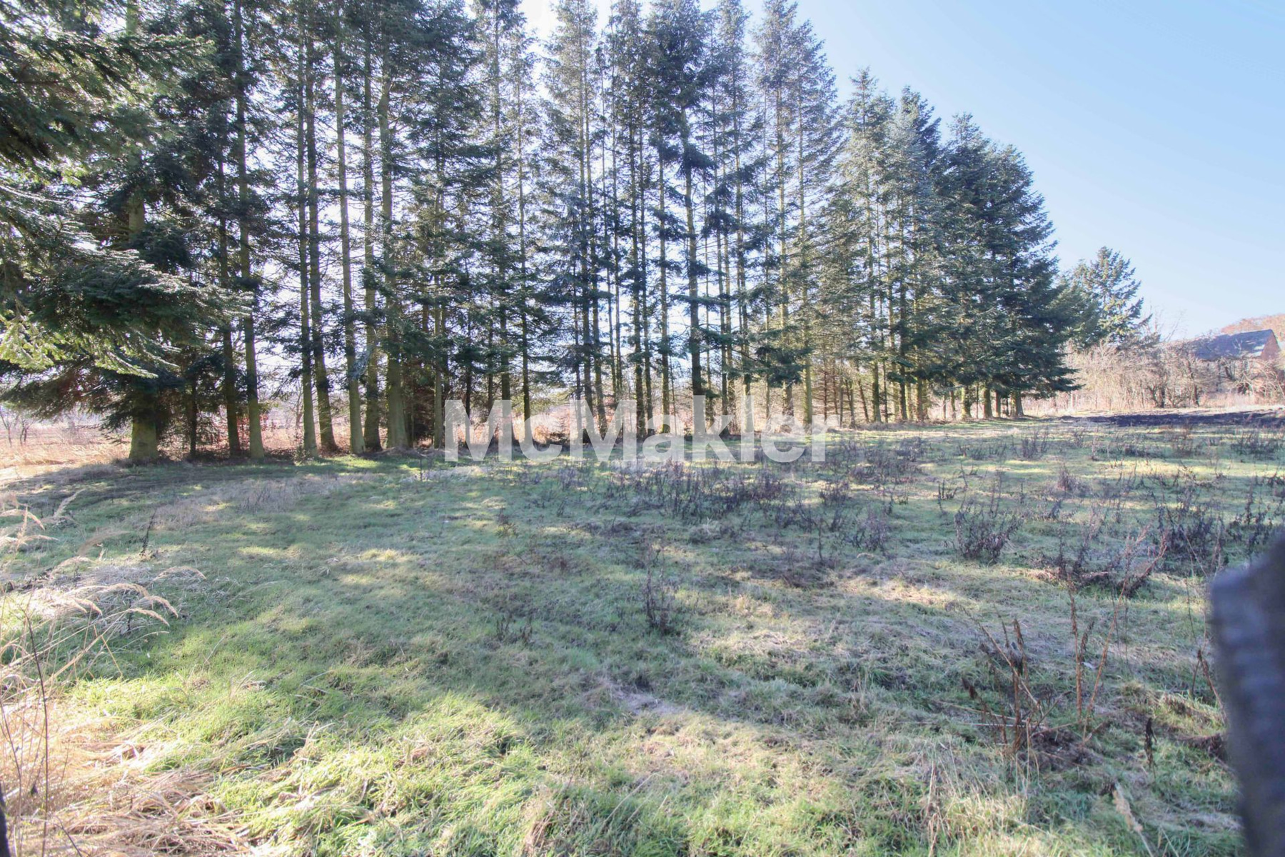 Property view 11